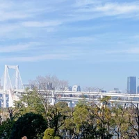 画像294