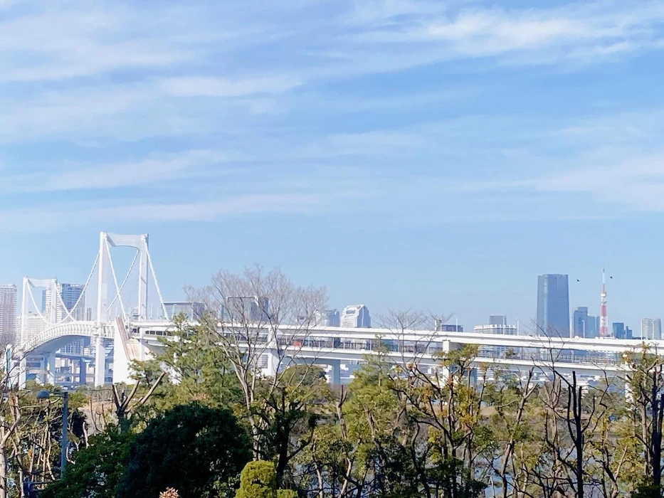 画像294